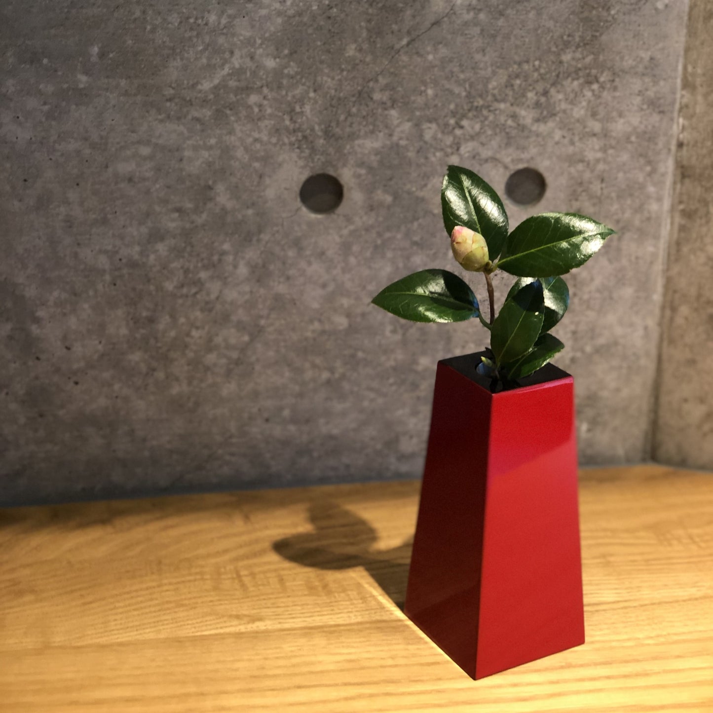 黒朱 塗分 花生(全2サイズ)